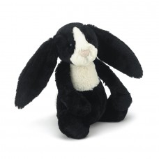 Dutch Bashful Bunny